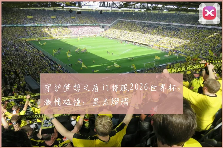 守护梦想之盾门将服2026世界杯，激情碰撞，星光熠熠