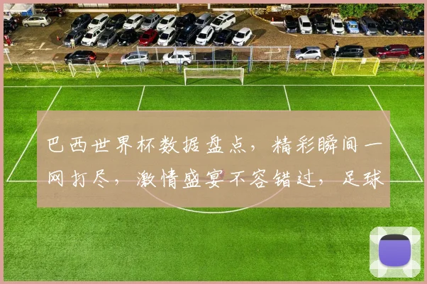 巴西世界杯数据盘点，精彩瞬间一网打尽，激情盛宴不容错过，足球迷必看