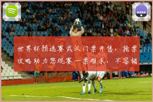 世界杯预选赛武汉门票开售，抢票攻略助力您观赛一票难求，不容错过