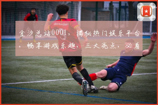 金沙总站0001，揭秘热门娱乐平台，畅享游戏乐趣，三大亮点，必看攻略