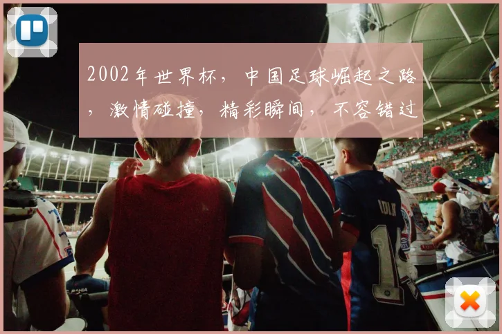 2002年世界杯，中国足球崛起之路，激情碰撞，精彩瞬间，不容错过，共鉴辉煌。